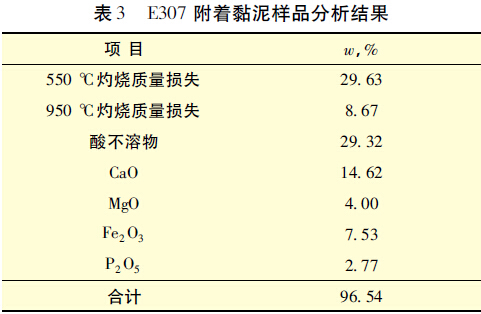 表3 E307 附著黏泥樣品分析結果